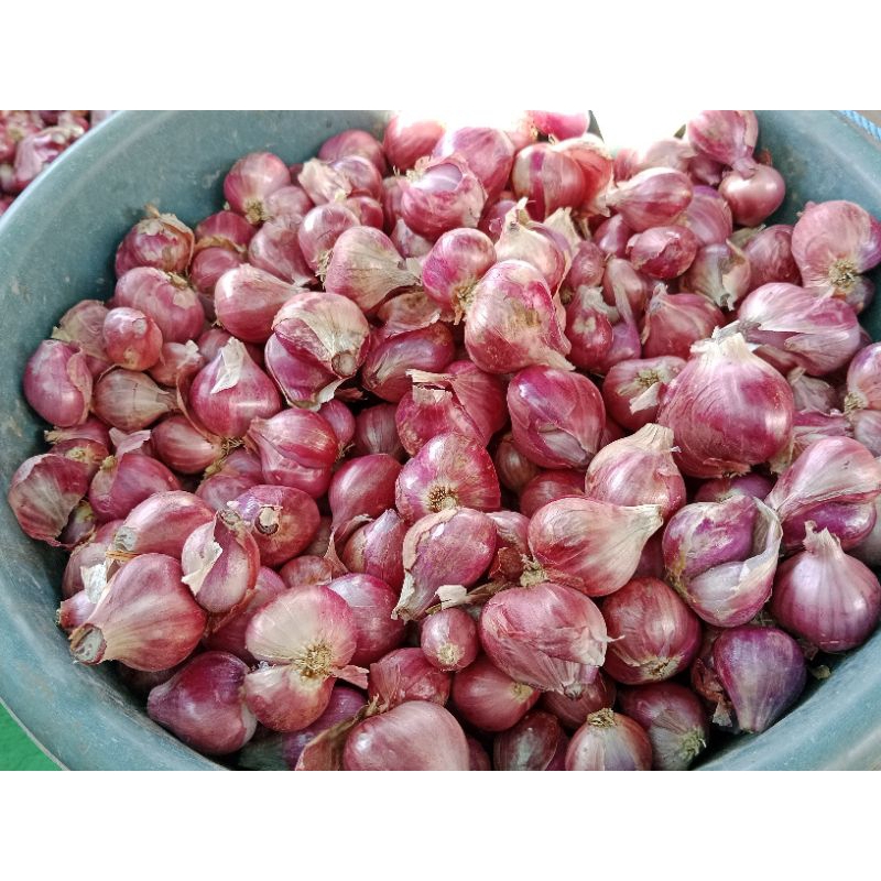 

Bawang Merah Super Garing Sriing 1kg