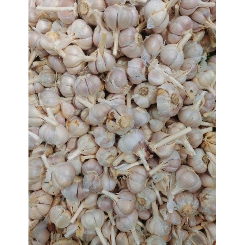 

BAWANG PUTIH 1KG baca deskripsi
