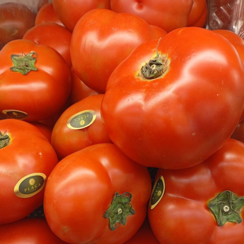 

Beef Tomato segar fresh 500gr