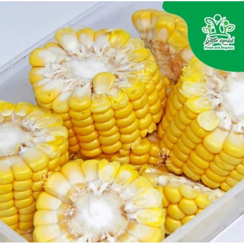 

Jagung Potong 500gr-Sayur Kendal Sawangan