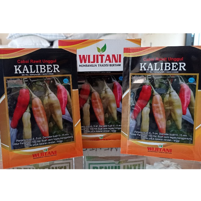 Benih cabe KALIBER 10gram, benih cabai rawit unggul kaliber wijitani