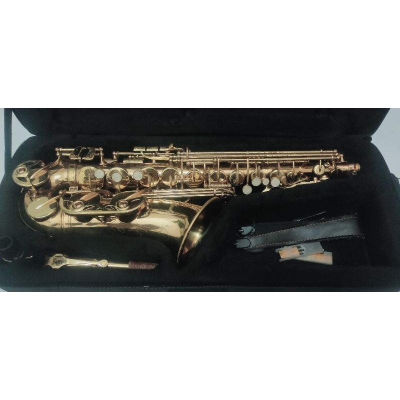 Saxophone Alto Cowboy