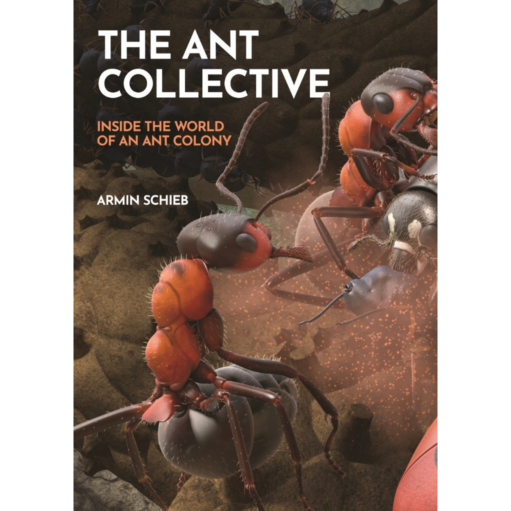 

The Ant Collective - Inside the World of an Ant Colony ( Melihat Dunia Semut dari Dekat / D )