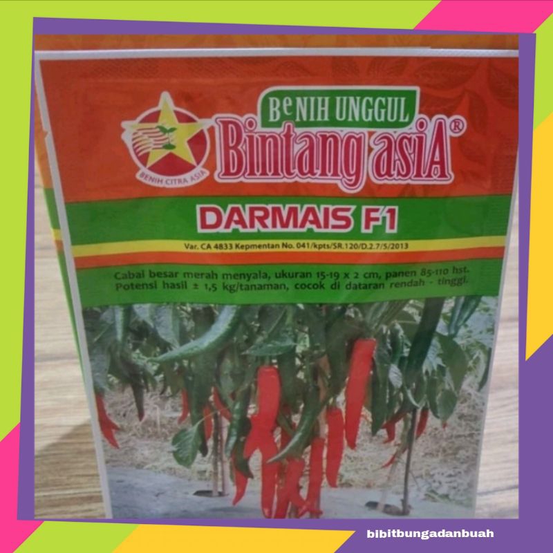 Benih Cabe Besar Darmais F1 10 Gram– Bintang Asia