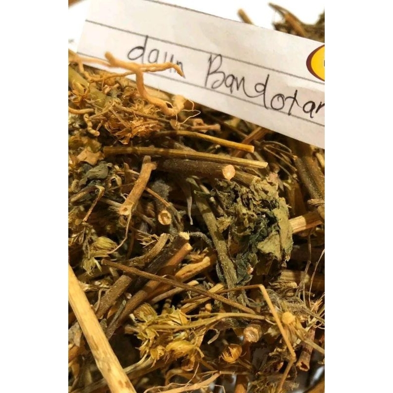 

Bandot / bandotan kering premium 500gr bisa cod