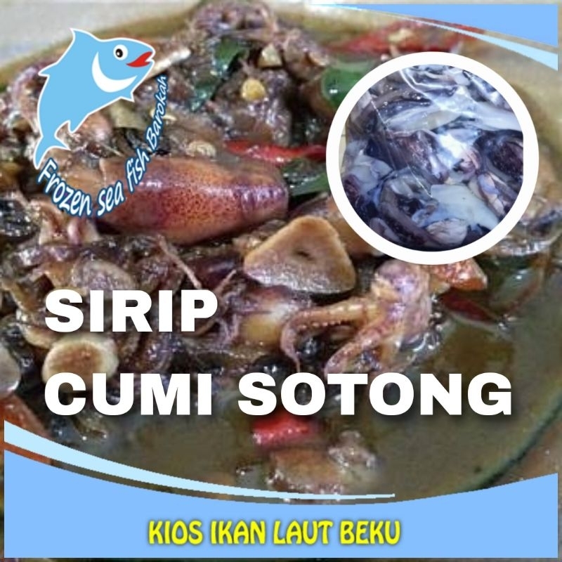 

SIRIP cumi sotong