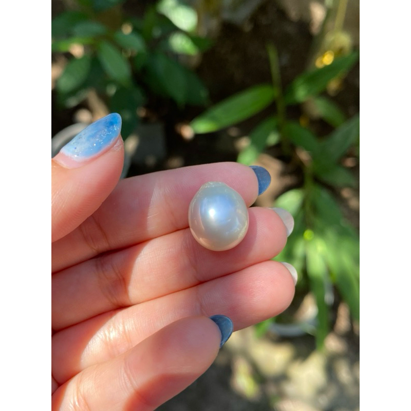 Mutiara laut putih besar liontin / mutiara lombok asli / mutiara laut sertifikat