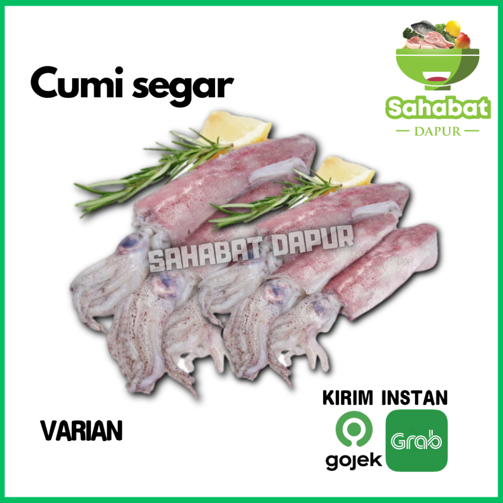 

Cumi Segar/Cumi Basah 500gr - Sahabatdapur