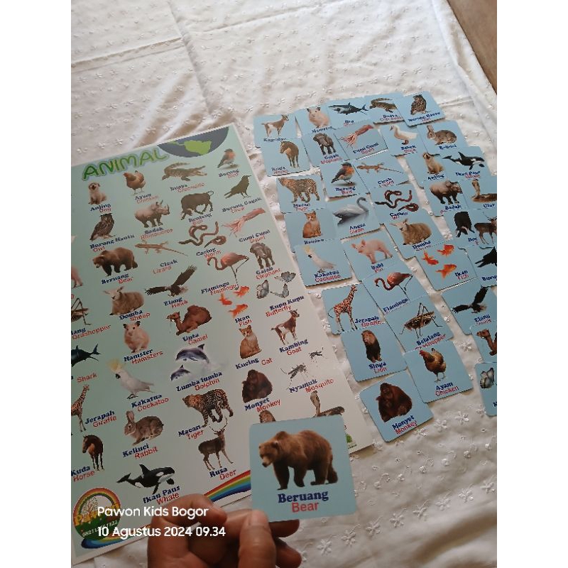 Poster Edukasi Bahasa Inggris + Mini Flashcard Poster Bahasa Inggris Hewan (Animal), Buah dan Sayura