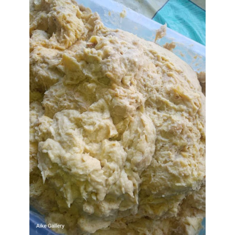 

tempoyak durian asli