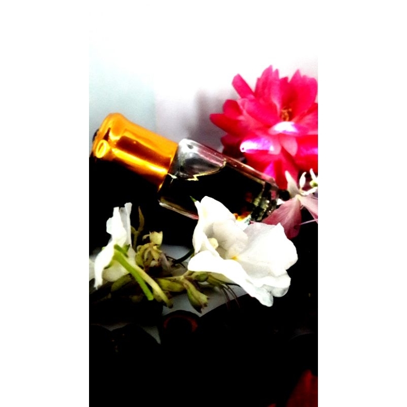 Minyak Japaron Untuk Pengasih an