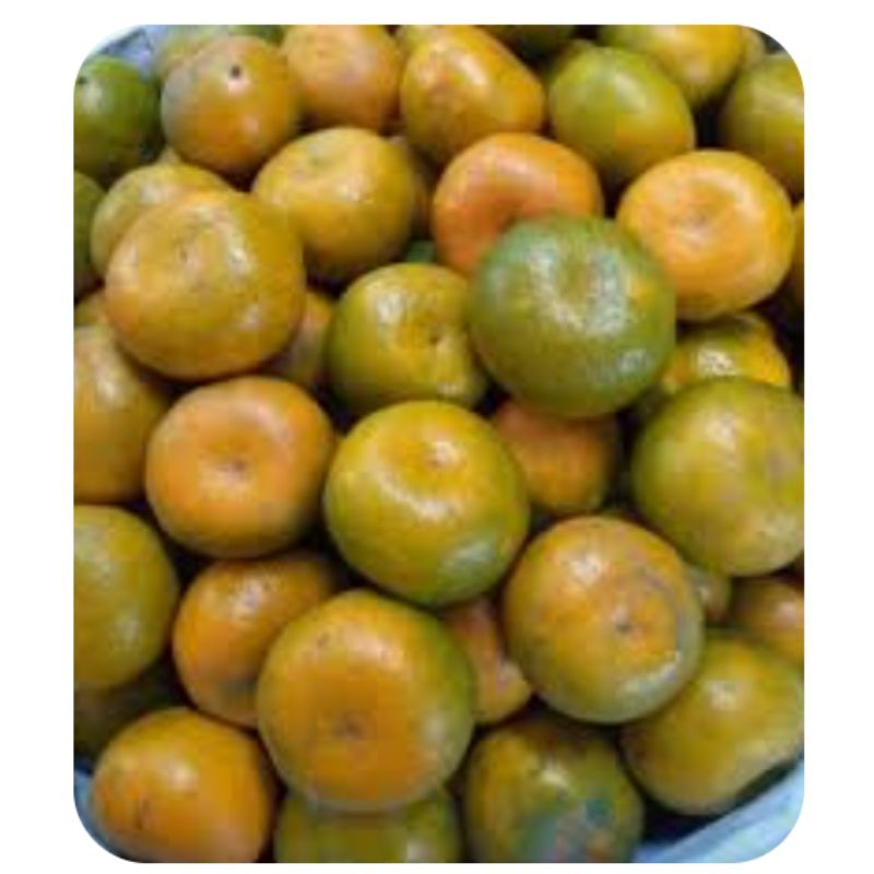 

JERUK MADU / Pasar Makassar