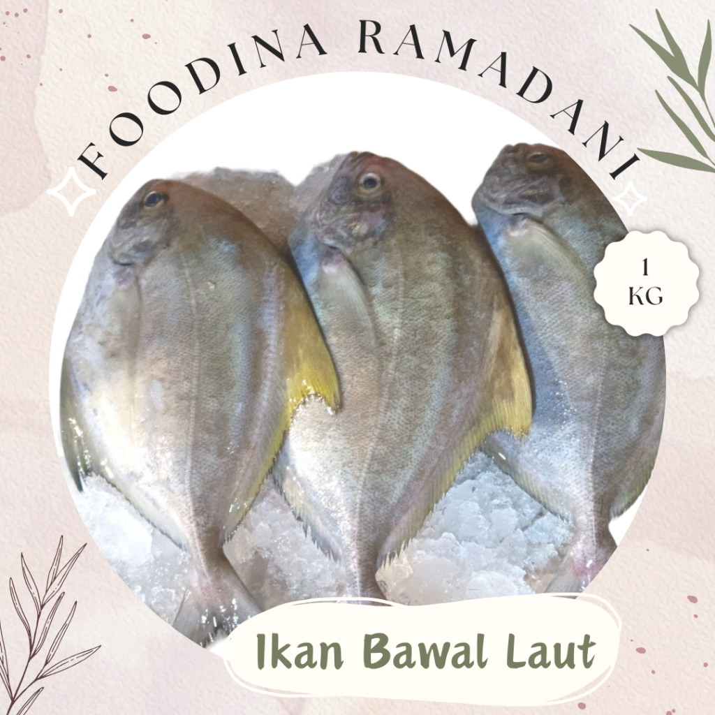 

IKAN BAWAL Laut Hitam - Black Pomfret Fresh [ Berat 1.000gr ] Harga Per KG