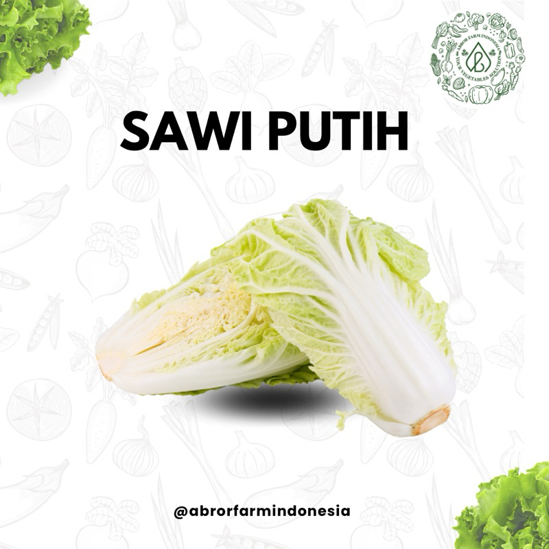 

Sawi Putih