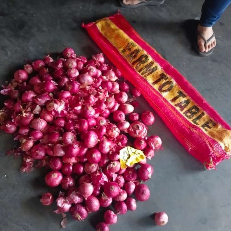 

bawang packing India 1kg