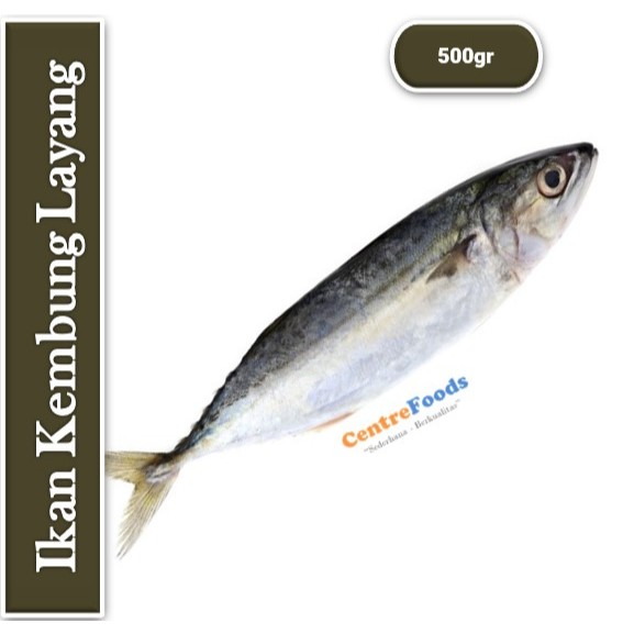 

Ikan Kembung - Layang Fresh | 500gr [ Harga Per 0,5 Kg ]