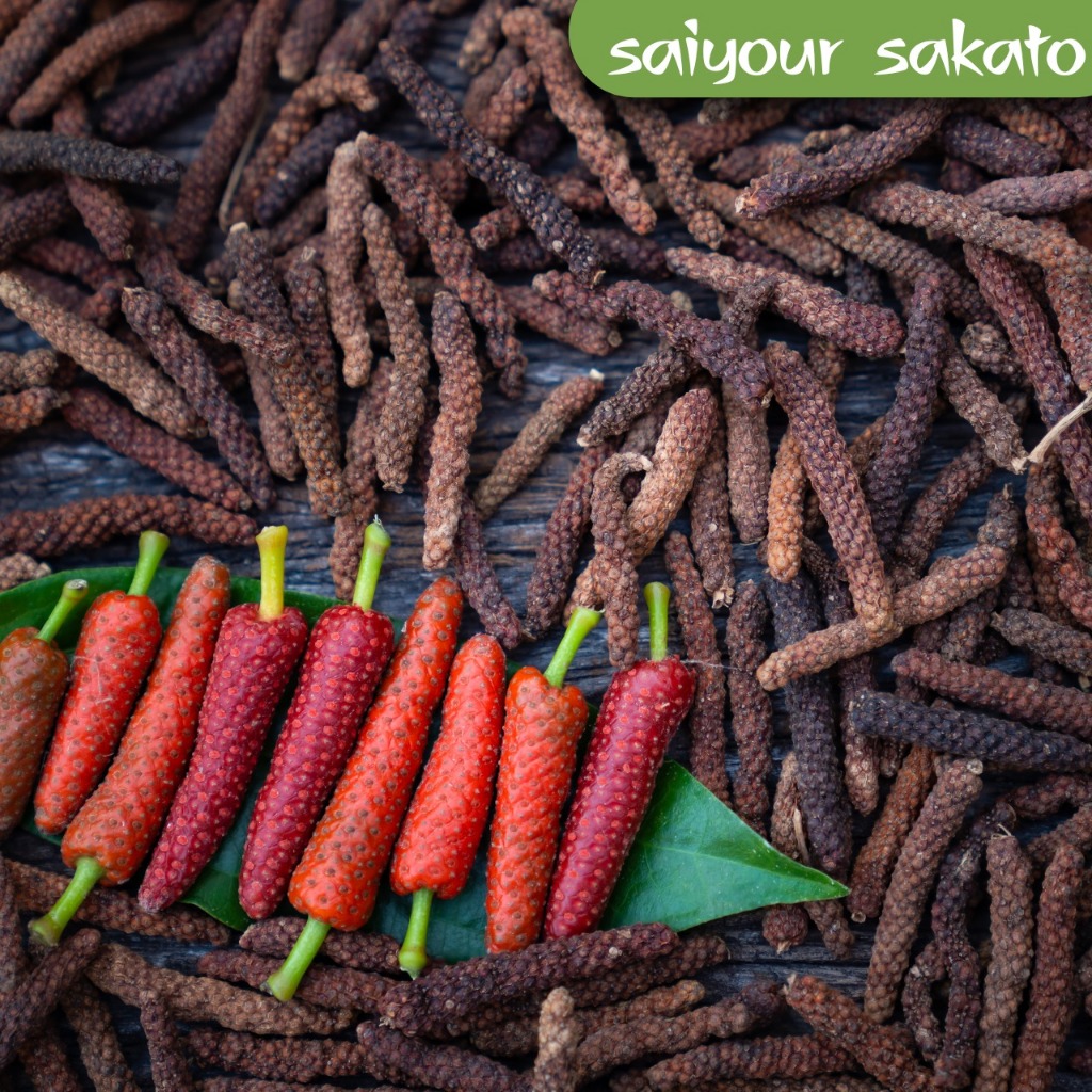

Cabai Cabe Jawa 1bungkus -- Saiyour Sakato