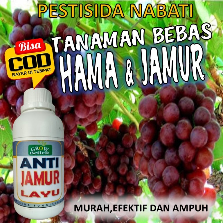 Pestisida Obat Pembasmi Hama Penyakit Tanaman Anggur jamur karat daun Ulat Grayak Kutu Daun