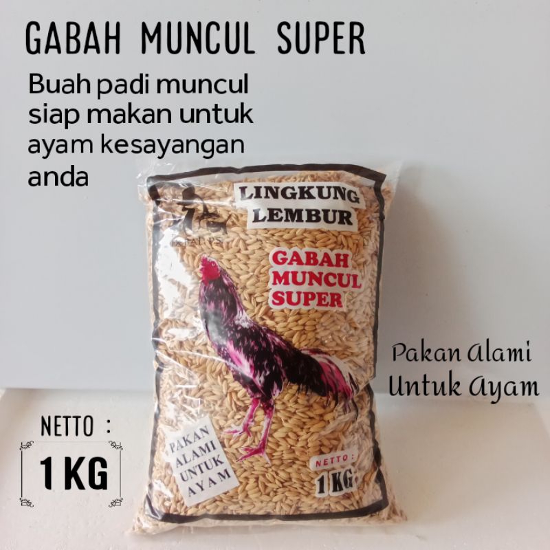 Gabah Muncul  Super/ Pakan Ayam Jago