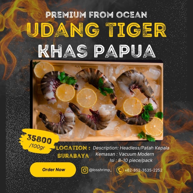

Udang Tiger/Windu Laut Papua "Include Packaging - Headlesss - 500 gr - Jumbo Isi 6-8 piece