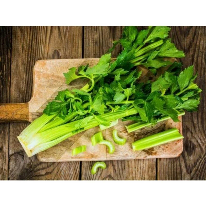 

Sayur Daun Seledri Segar
