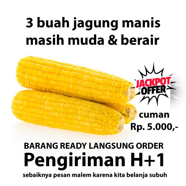 

Jagung manis isi 3 ukuran sedang bungkus