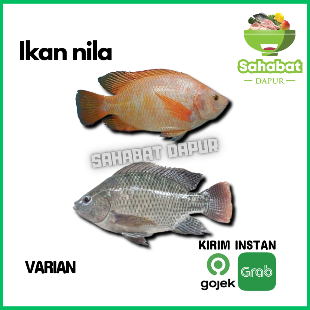 

Ikan Nila Segar / Nila Hitam / Nila Merah