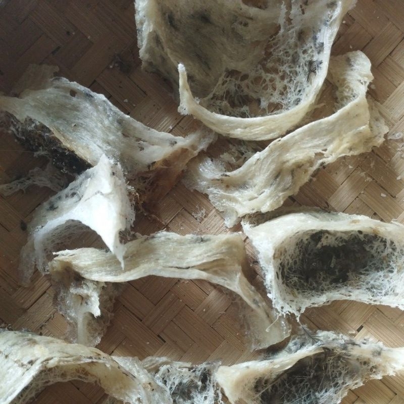 

walet #sarang #sarangwalet #yanwo #suplemen #suplemenmakanan #makanansehat #sarangwaletsulawesi #sarangwaletasli