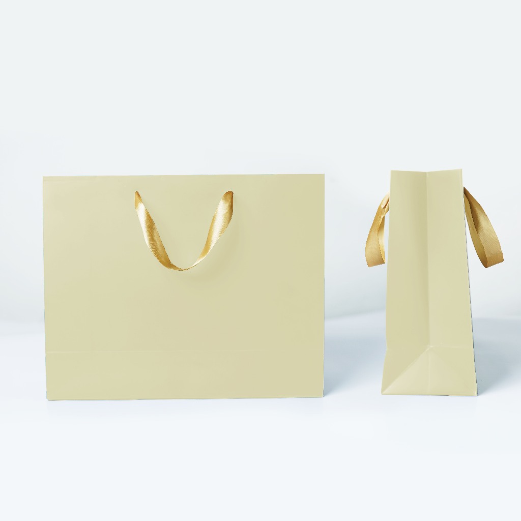 

RK Capricorn Design Paperbag Besar