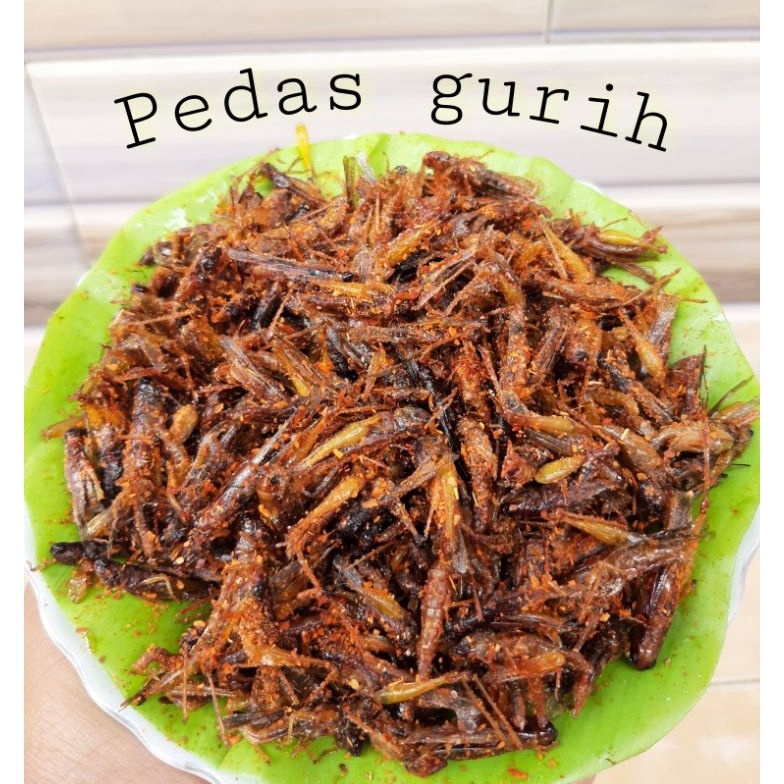 

Diminati belalangwalangsimeut goreng kecil oleh2 tradisional majalengka