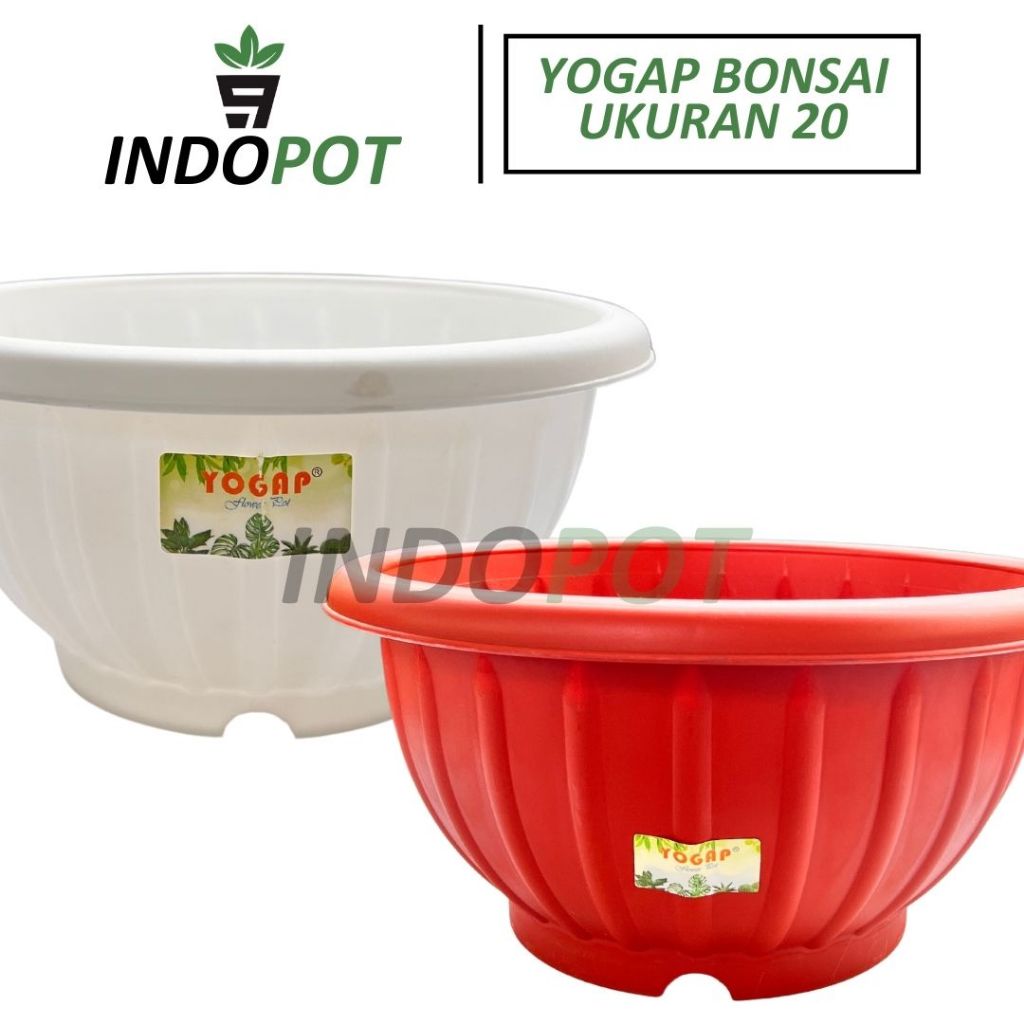 Pot Bonsai Yogap 20 Elegant Model Mangkok Lucu Cocok Untuk Dalam Ruangan