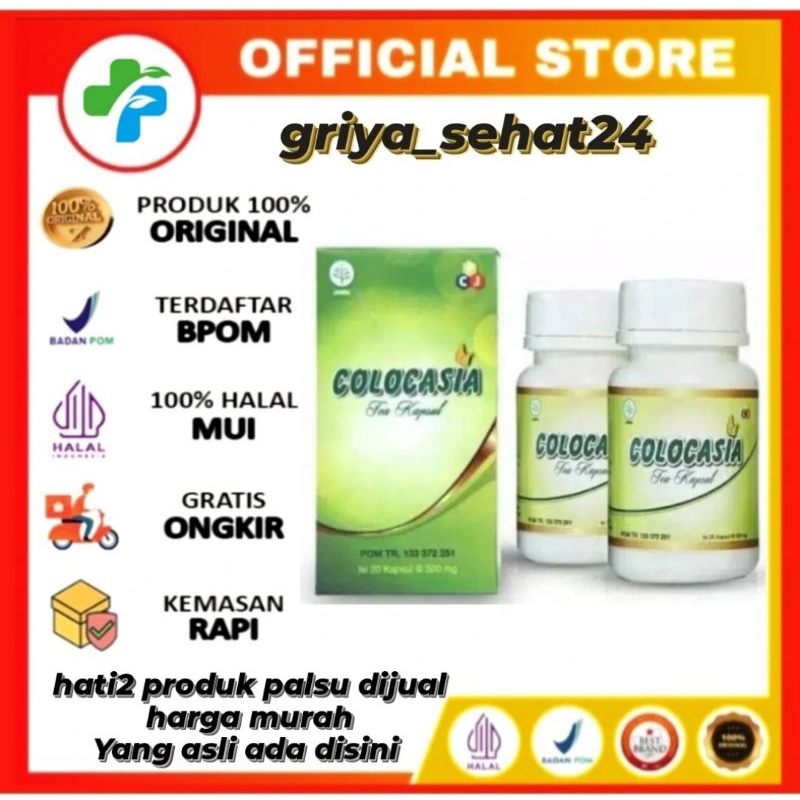 COLOCASIA ORIGINAL ASLI COLOCASIA MEREDAKAN NYERI SENDI LUTUT MENAMBAH CAIRAN PADA SENDI OBAT COLOCO