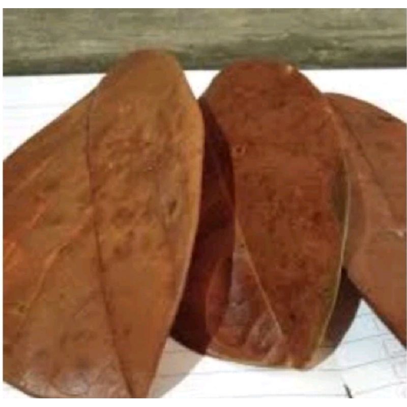 

Daun nangka kering 50 lembar