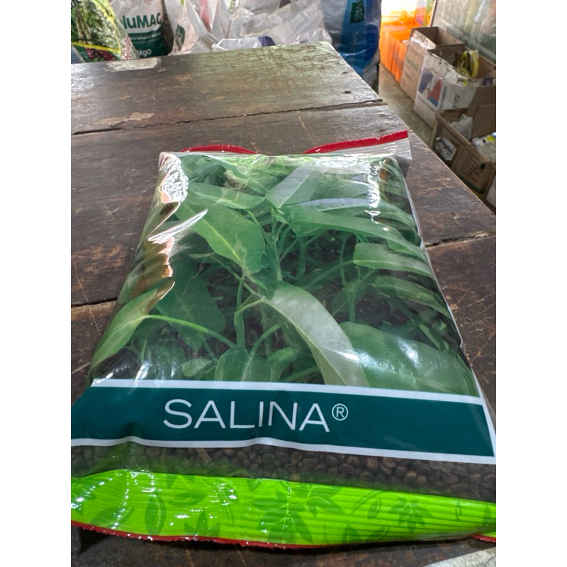 

kangkung salina 1kg benih panah merah
