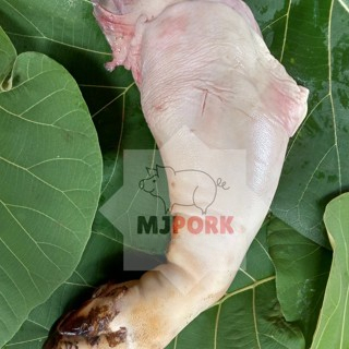 

Kaki Babi Cukiok Pork Leg B2 - 500 gr