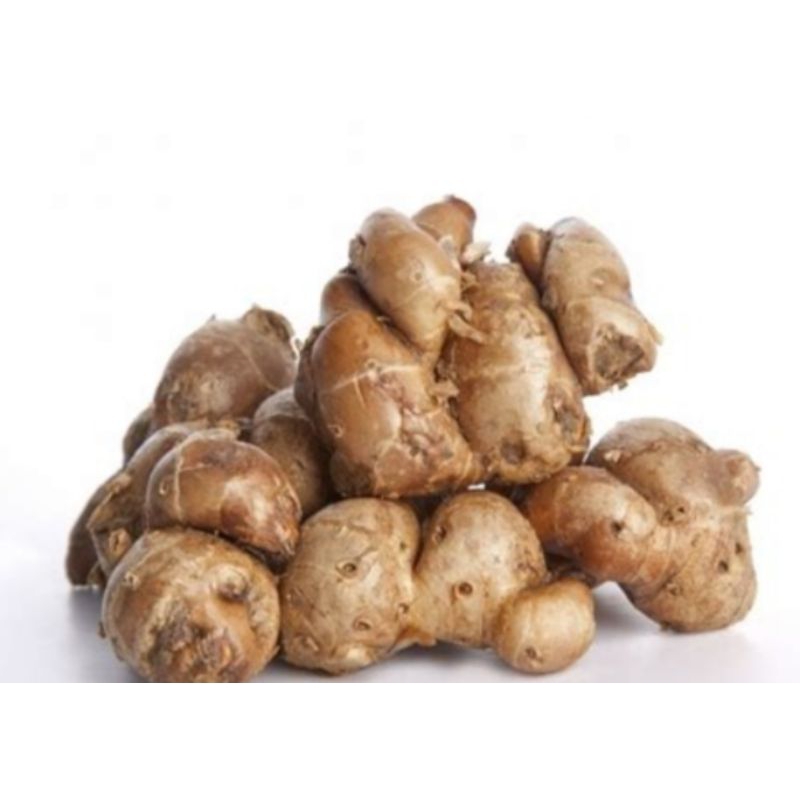 

Kencur Cikur bumbu masak rempah 250gram
