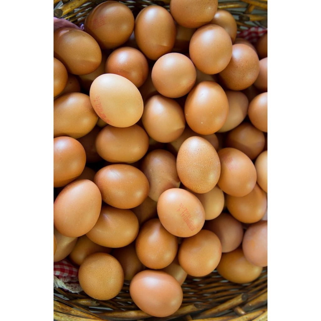 

Telur Ayam 1 kg KHUSUS Instan / Grab Instan / Gosend