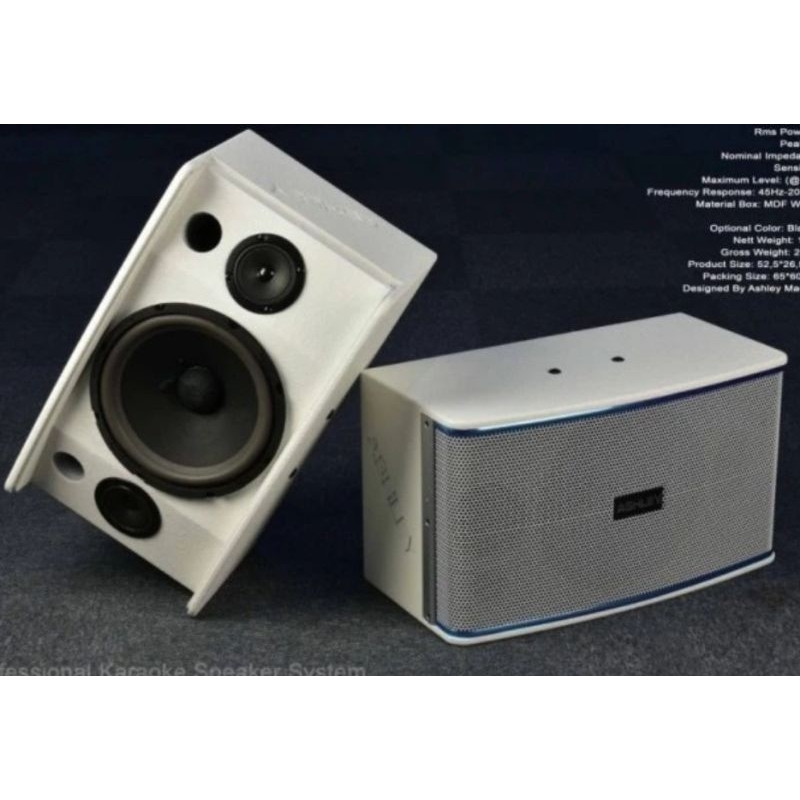 SPEAKER PASIF ASHLEY KS10 10 INCH ORIGINAL