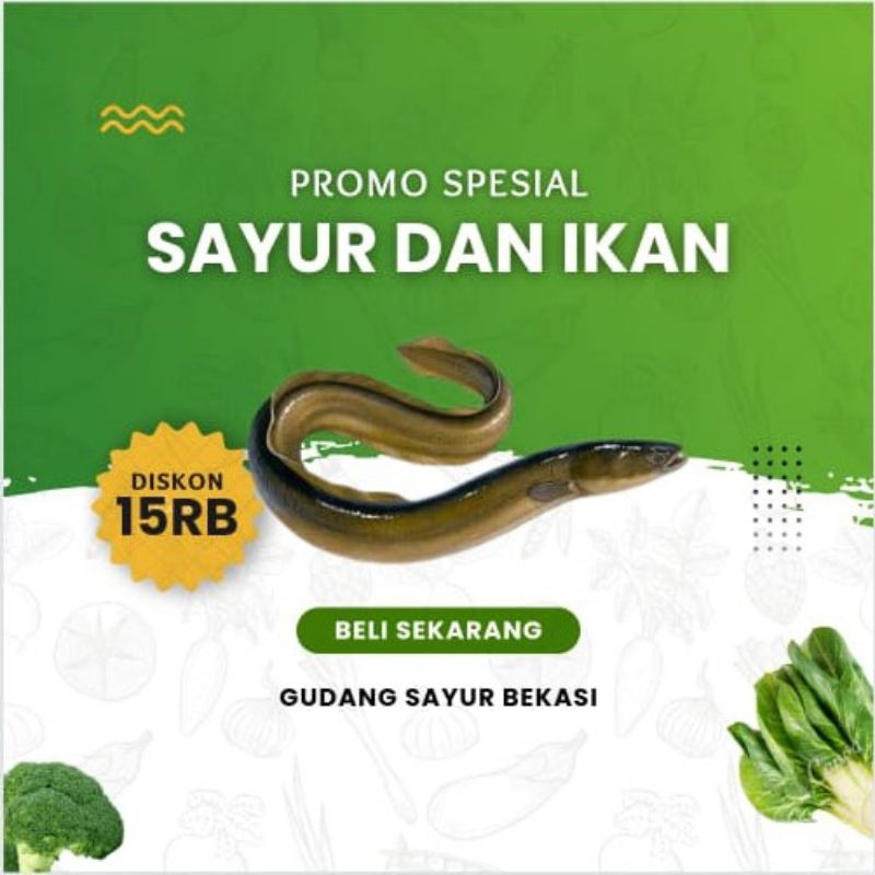 

Belut Segar 500 gr