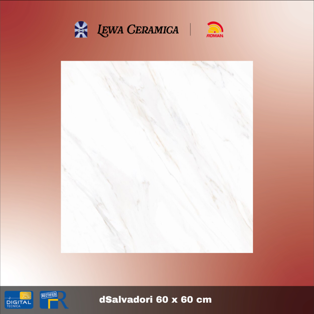 ROMAN DSALVADORI SALVADORI Granit Glossy 60 x 60 KW 1