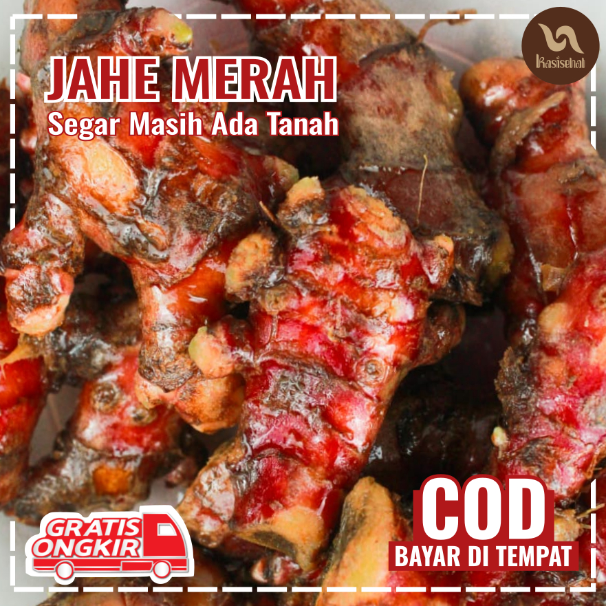

Jahe Merah Utuh 1kg Segar 100% Murni Masih Ada Sisa Tanah Premium Rempah Kasisehat