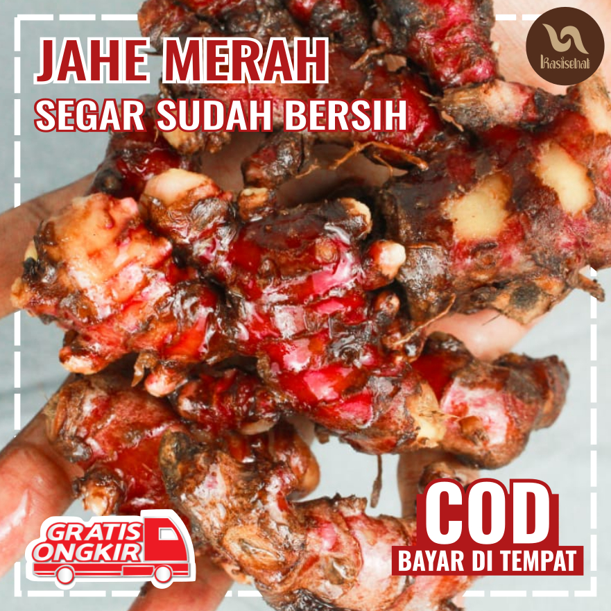 

Jahe Merah Premium 1 Kg Sudah Bersih Siap Pakai Rempah Kasisehat