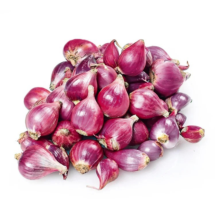 

Bawang Merah Murah 1000gr (1kg)