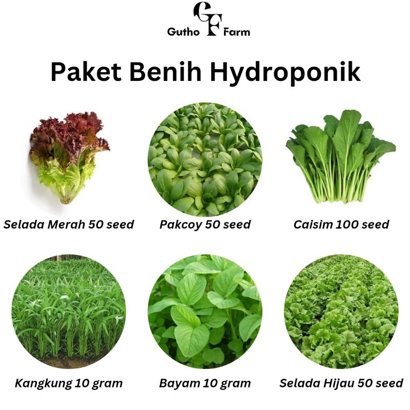 Paket Benih Hydroponik