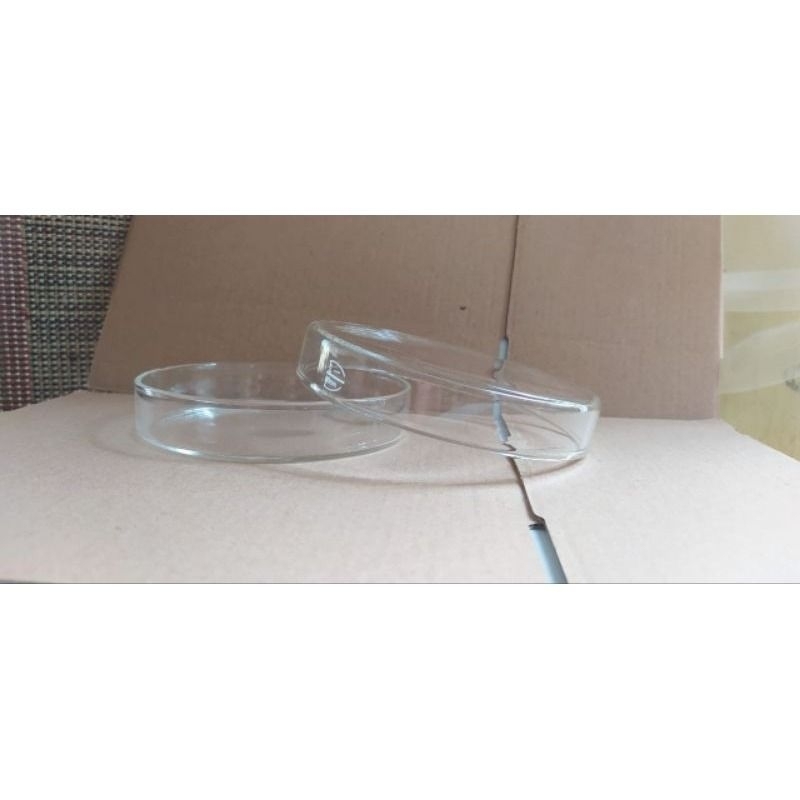 Cawan Petri Kaca RRC 100x20mm _ RRT Cawan Petri Kaca Diameter 10cm Tebal 2 cm
