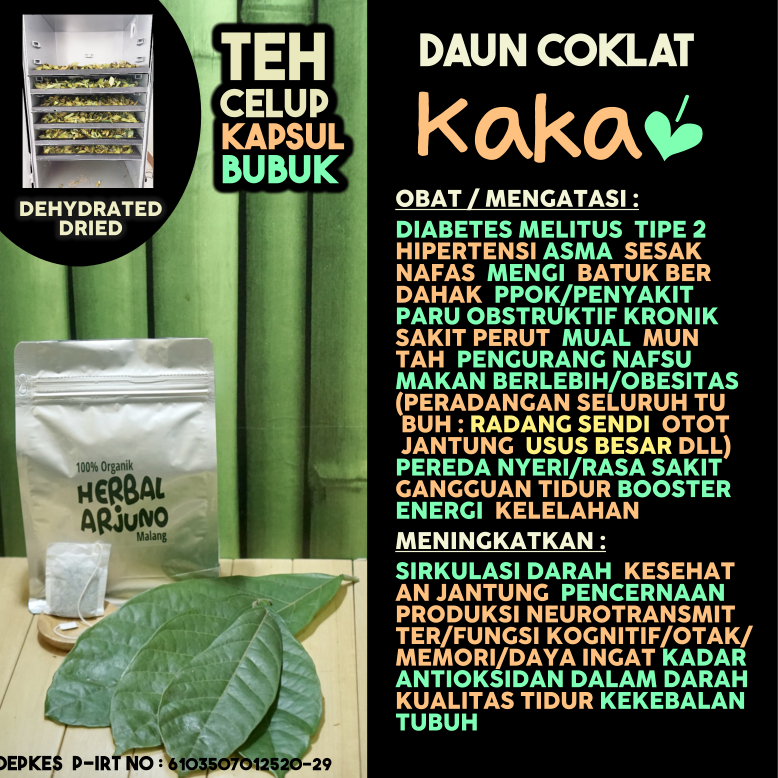 

Dehydrated Dried Teh Celup Kapsul Bubuk Daun Coklat Cokelat kakao Obat Asma Sesak Nafas Mengi Penyakit Paru Kronik PPOK Booster Energi Tahan Lama Kelelahan Mual Muntah (Radang Sendi Otot Jantung) Diabetes Hipertensi Obesitas Fungsi Kognitif Otak Alzeimer