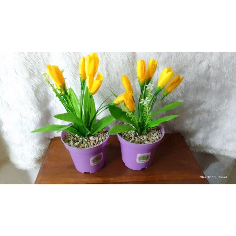 SET BUNGA PLASTIK TULIP DENGAN POT D10 RANGKAIAN BUNGA HIAS TULIP MINI HOMEDECOR BUNGA HIASAN RAK KA