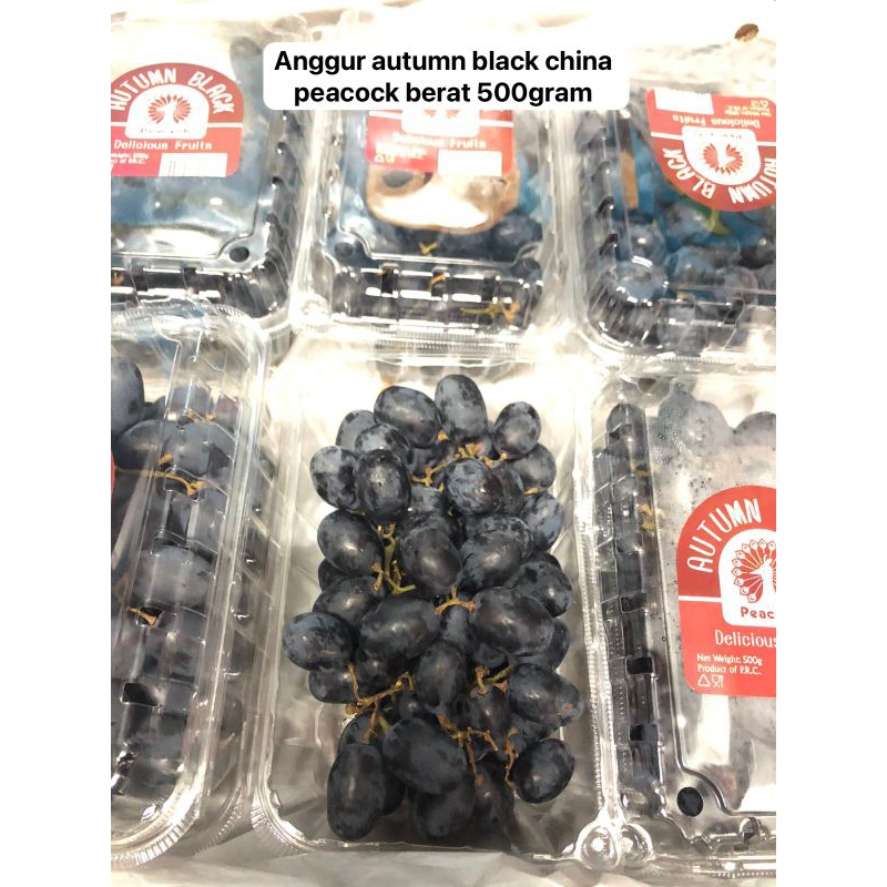 

Anggur autum black china merak berat 500grm/ pack