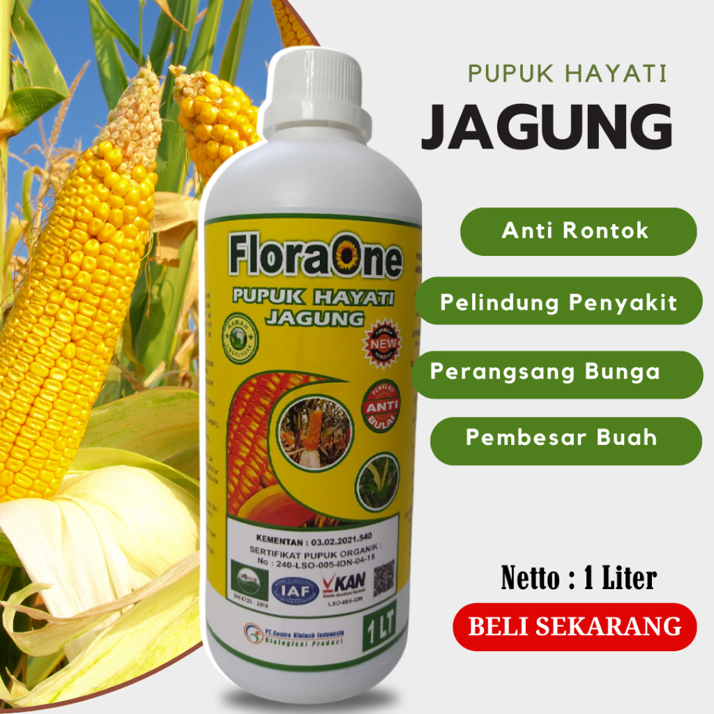 Pupuk Jagung Masa Pertumbuhan, Pupuk Jagung Pembesar Buah, Pupuk Pembesar Jagung, Fungisida Hayati P