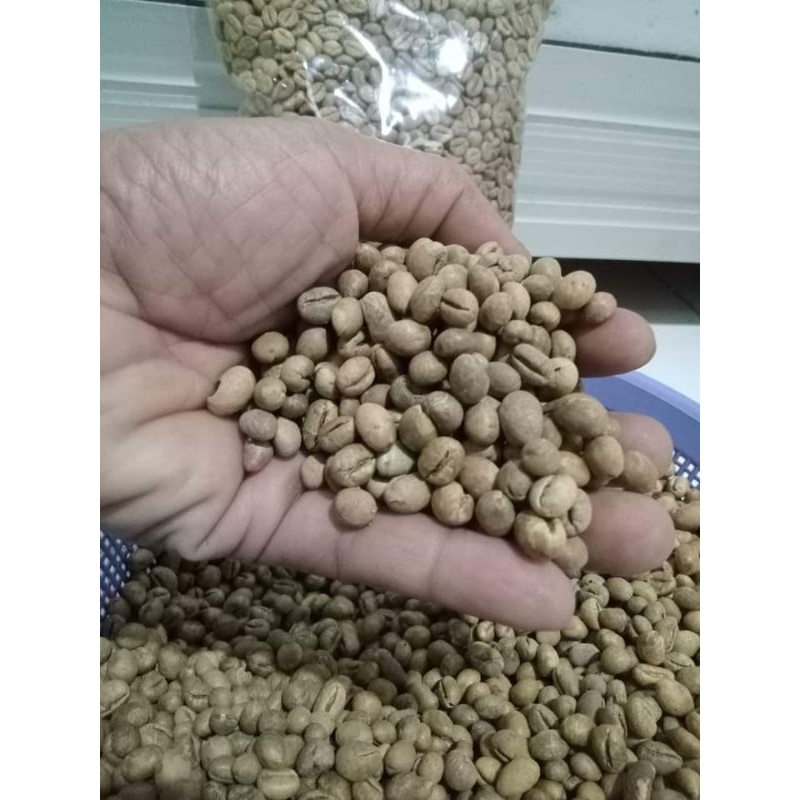 

KOPI LANANG/KOPI SPESIAL/KOPI MENTAH/GREEN BIEN 1KG ORIGINAL ROBUSTA MURIA